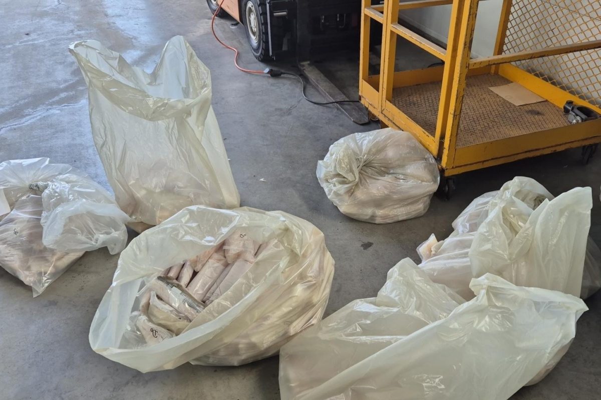 norwegischer Zoll beschlagnahmt Fisch in Oslo Fischschmuggel Norwegen Fisch beschlagnahmt Fisch sichergestellt