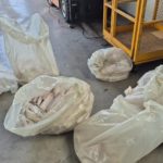 norwegischer Zoll beschlagnahmt Fisch in Oslo Fischschmuggel Norwegen Fisch beschlagnahmt Fisch sichergestellt