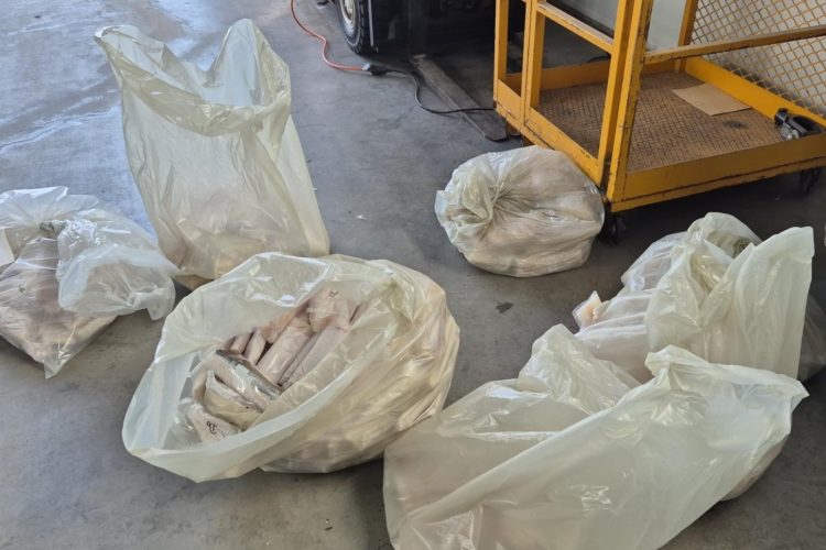 norwegischer Zoll beschlagnahmt Fisch in Oslo Fischschmuggel Norwegen Fisch beschlagnahmt Fisch sichergestellt