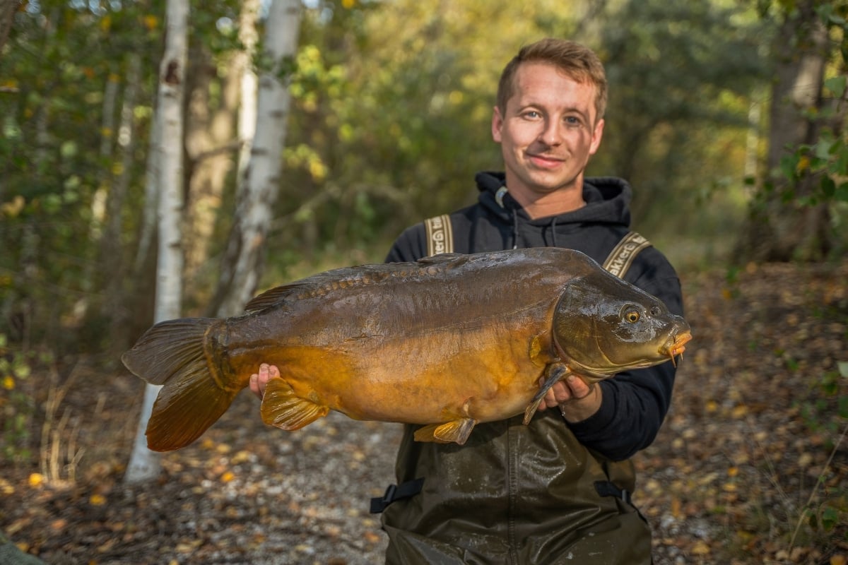 Angler mit Spiegelkarpfen