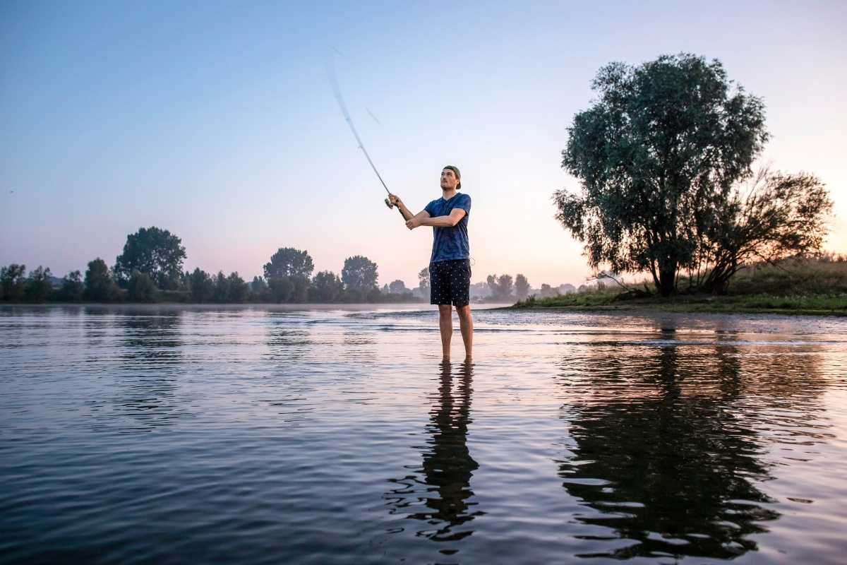 Rapfen angeln im Sommer