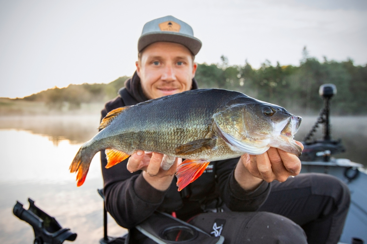 Angler mit großem Barsch