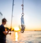 Der Blinker Raubfischangeln im Sommer: Tipps für Barsch, Hecht und Co. - BLINKER