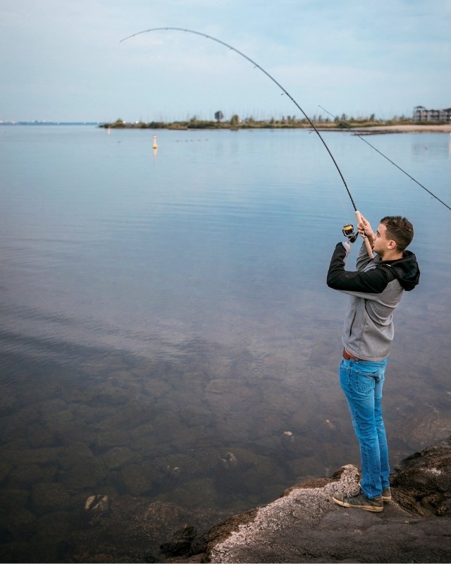 Sommer-Zander im Drill