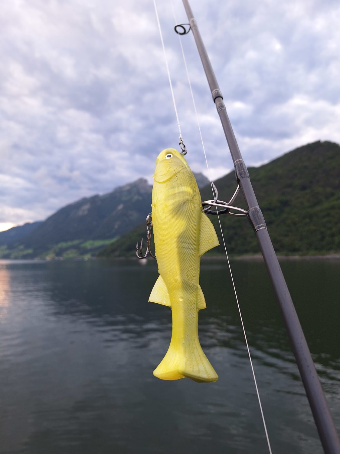 Swimbait im Forellendekor