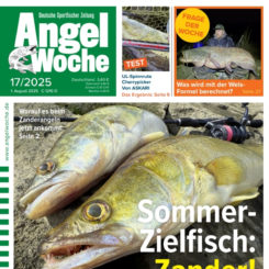 AngelWoche