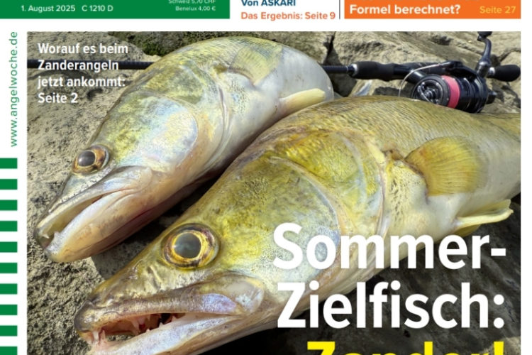 Cover der Angelwoche 17/2025: Sommer-Zielfisch: Zander!