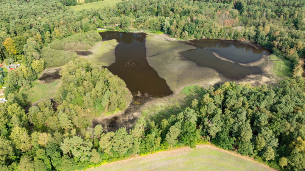 Luftaufnahme Würmsee 