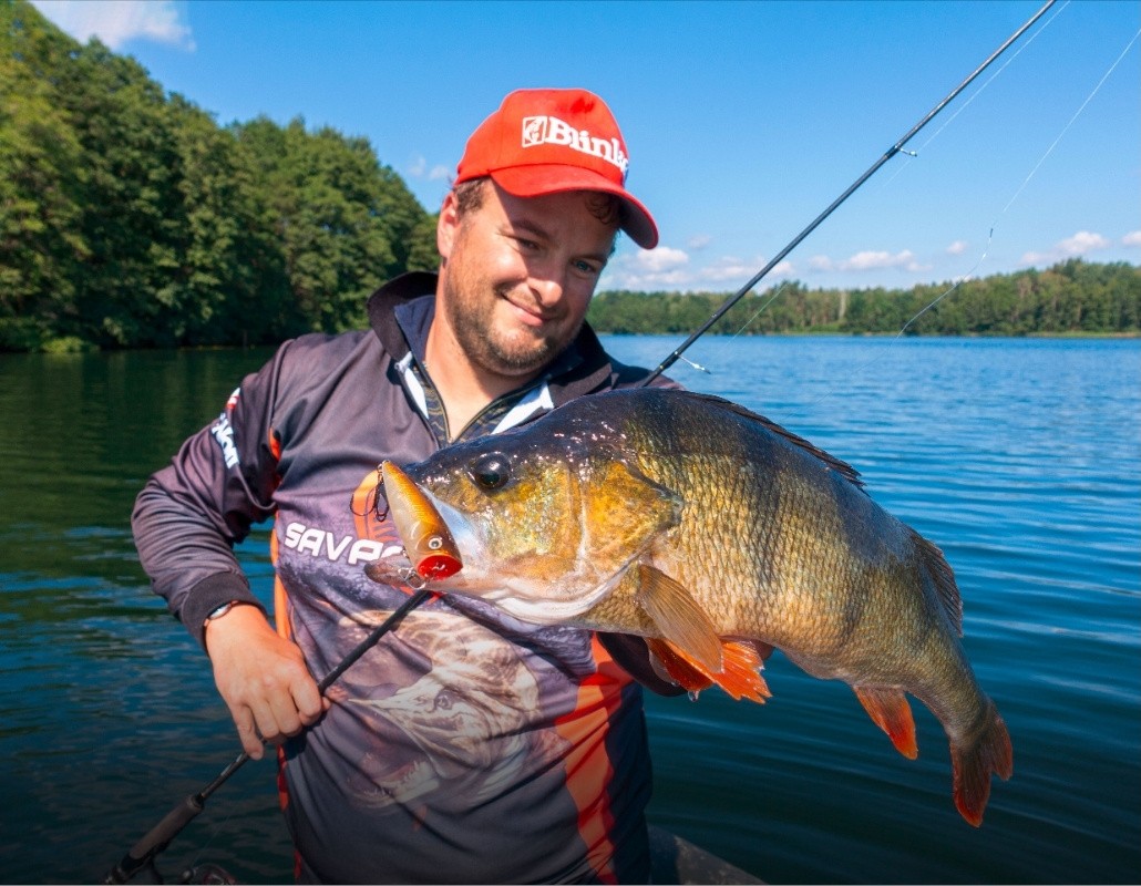 Angler mit Barsch auf Popper gefangen