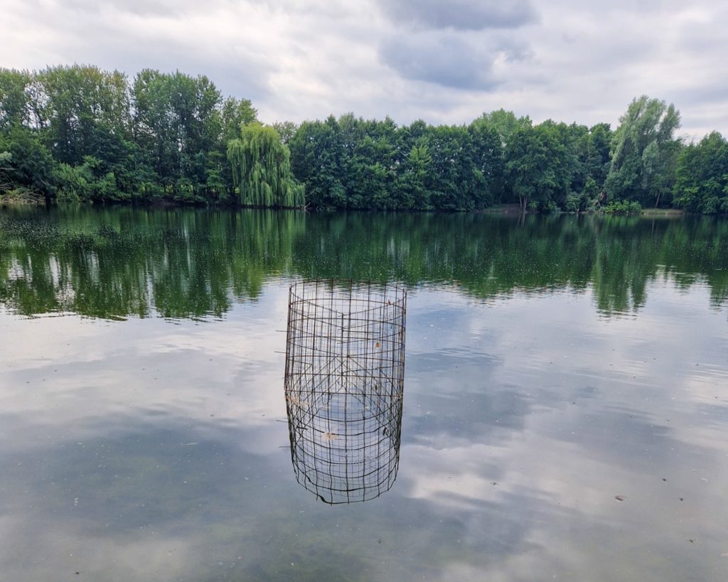 Zum Schutz der eingebrachten Wasserpflanzen wurden stabile Käfige im See verankert.