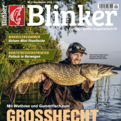BLINKER