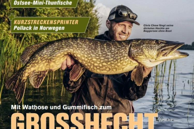 Blinker 09/2025: Großhecht vom Ufer!