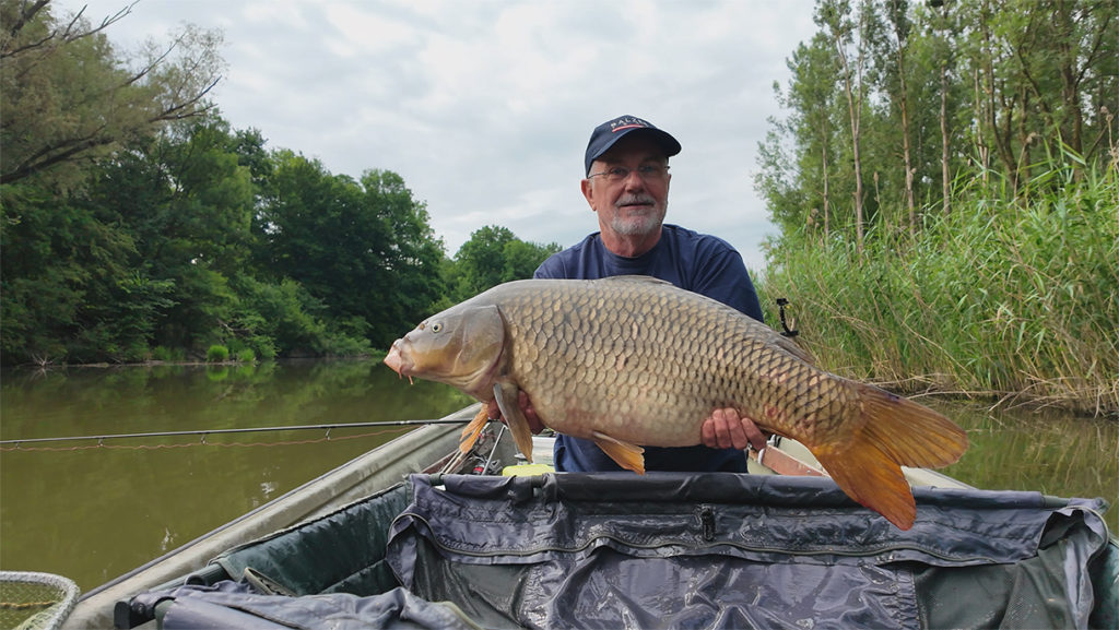Schuppe aus Donau-Aue