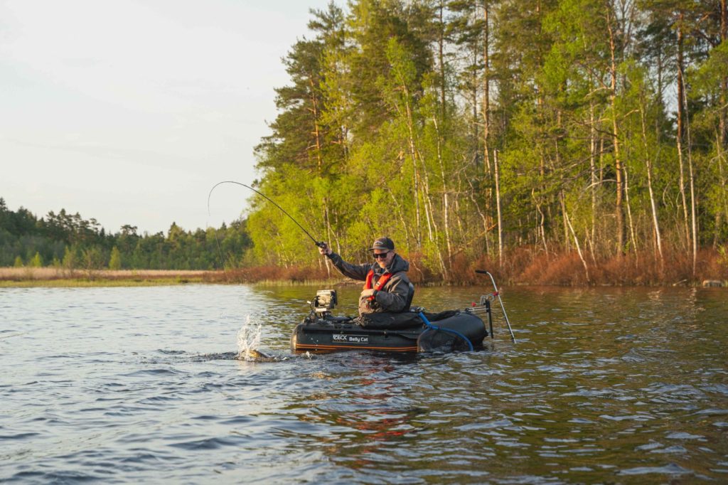 Angler drillt Hecht im Bellyboot in Schweden im Mai