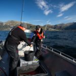 Zwei Angler bestücken die Heilbuttangel mit frischem Fisch vor einem norwegischen Fjordeingang