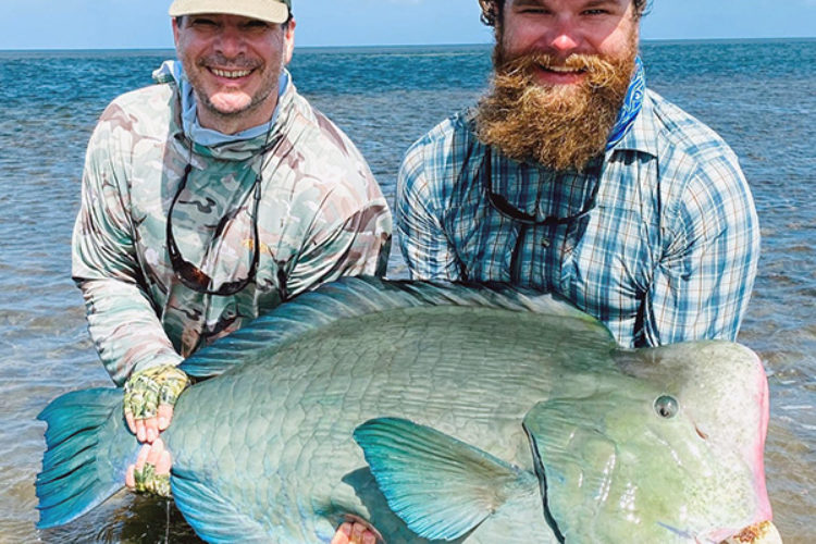 Mark Week Parrotfish IGFA Rekord Bumphead Papageienfisch