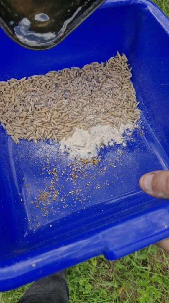 Maden bestreuen mit Kleber