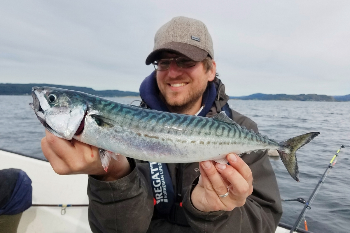 Angler mit Makrele