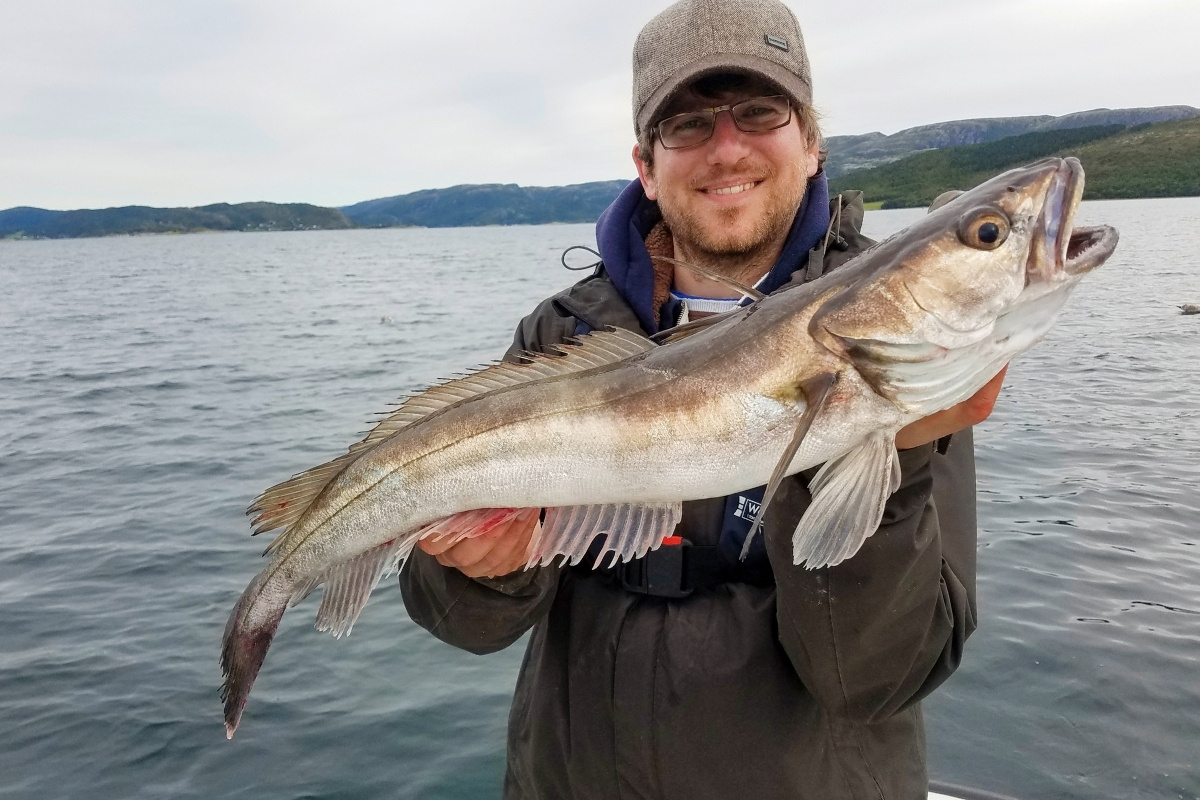 Angler mit Seehecht aus einem norwegischen Fjord