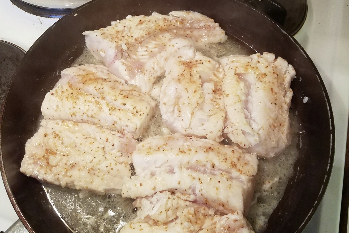 Filet vom Seehecht in der Pfanne gebraten