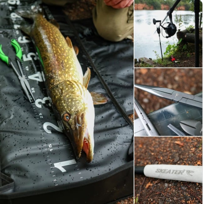 Skeater Raubfisch Gerät