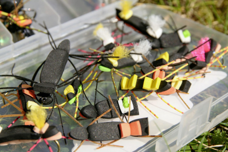 Tchernobyl Ant auf Friedfisch
