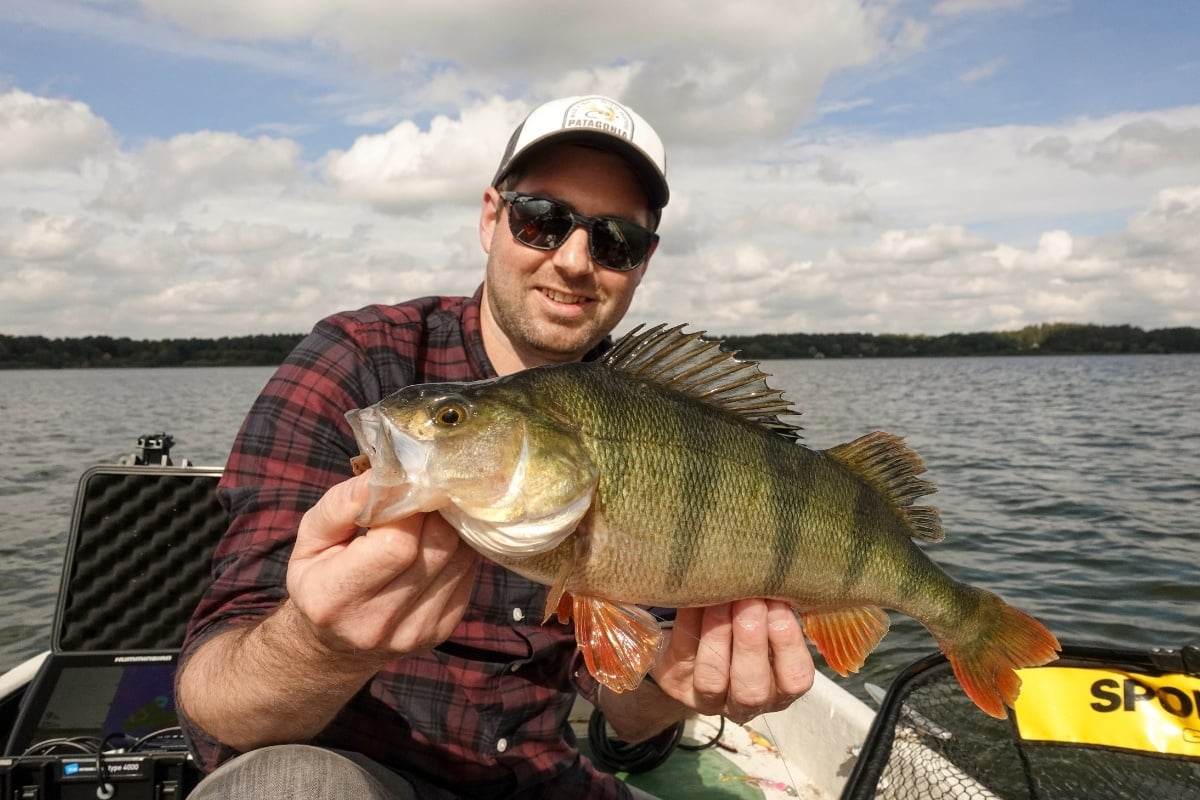 Angler mit großem Barsch