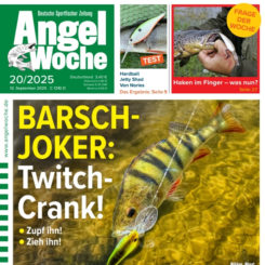AngelWoche