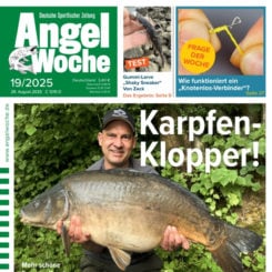 AngelWoche