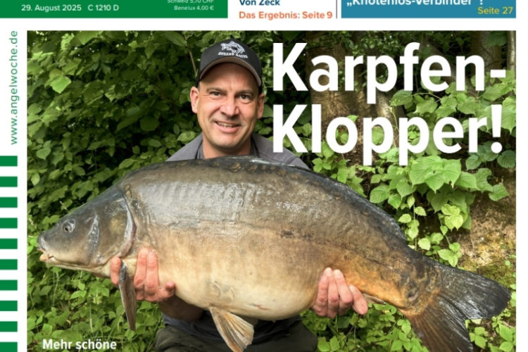 Cover der AngelWoche 19/2025: Karpfen-Klopper!