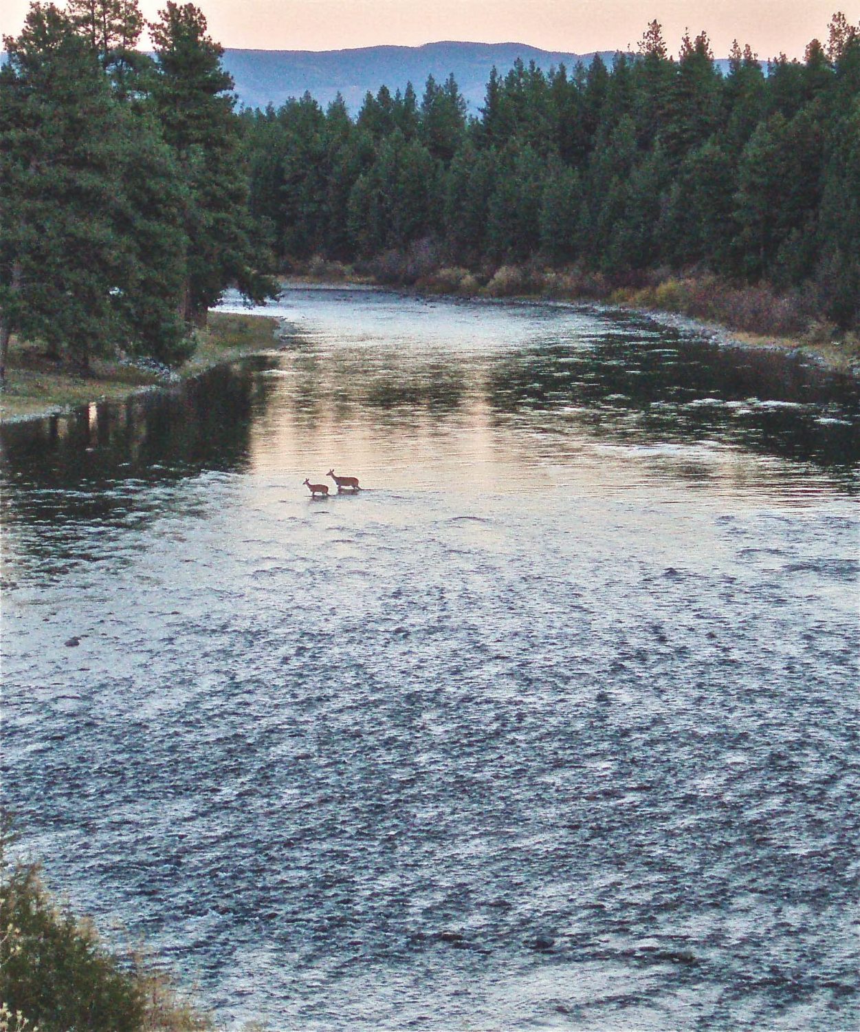 Blackfoot River in Montana