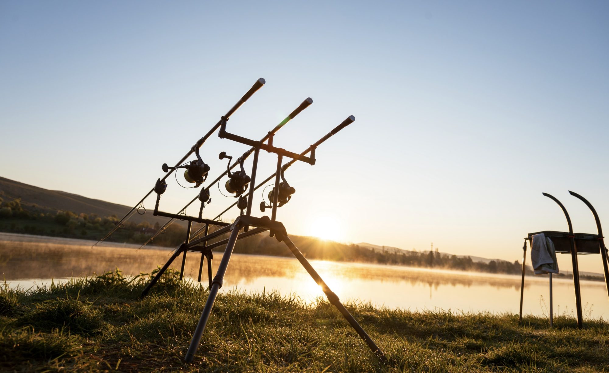 Karpfenruten Rod Pod