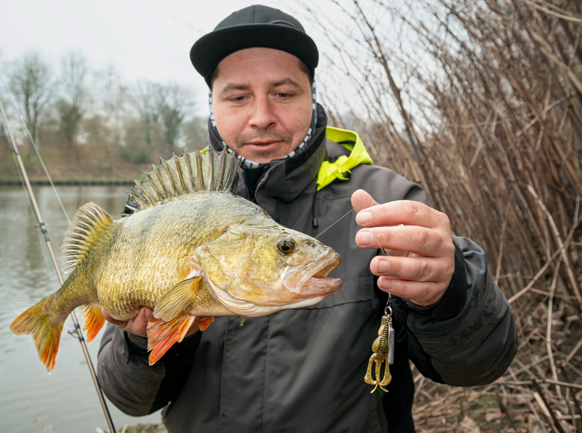 Fluorocarbon Barsch