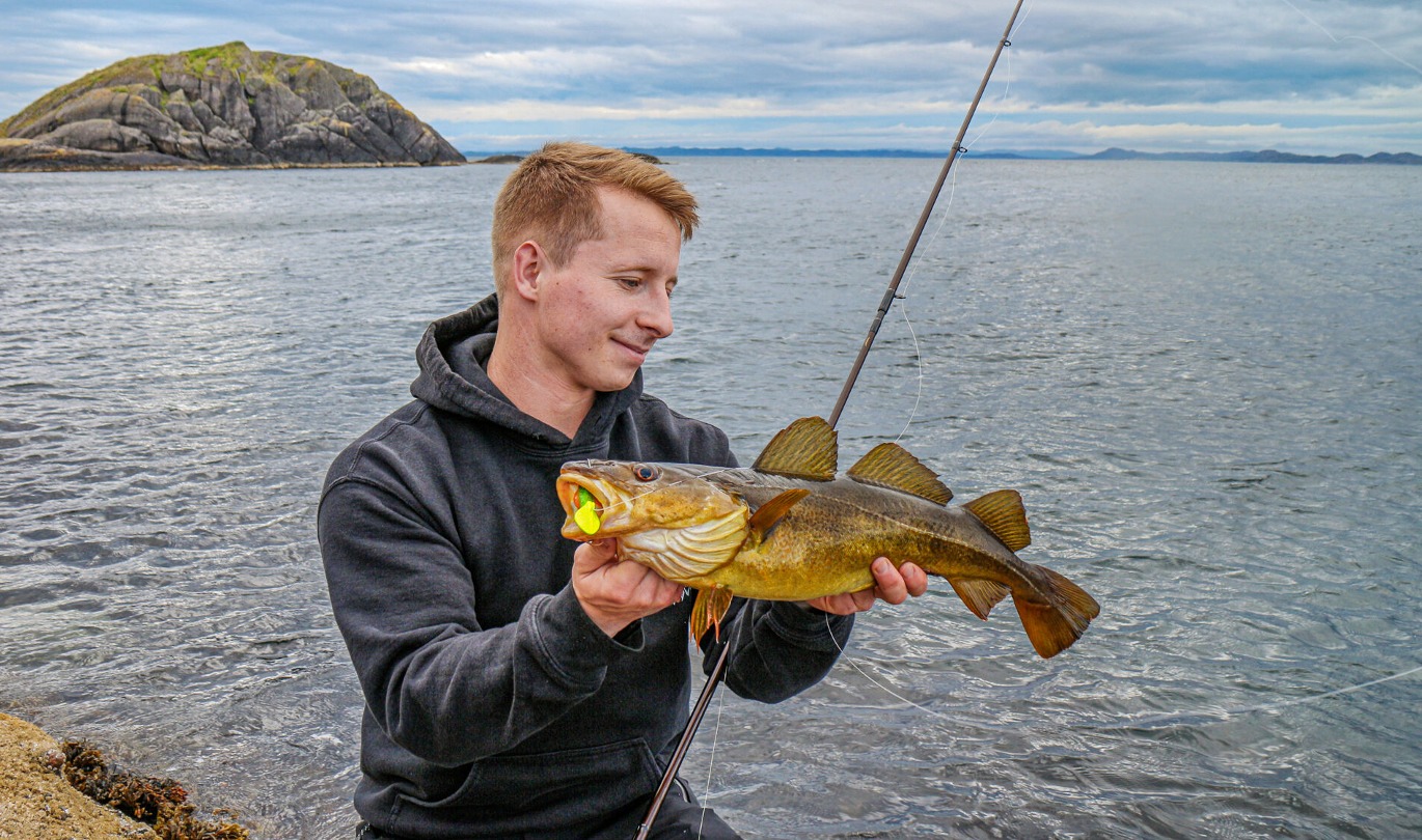 Norwegen Dorsch Spinnangeln