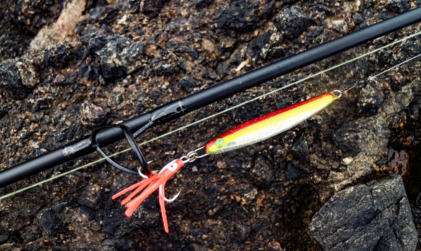 Spinnrute 75g Pilker