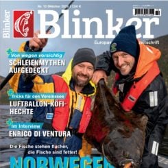 BLINKER
