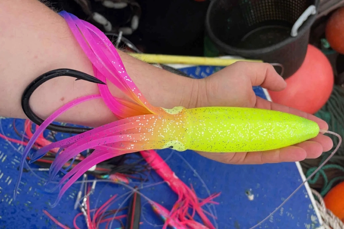 Gummi-Tintenfisch als Thunfisch-Köder