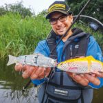 Swimbaits