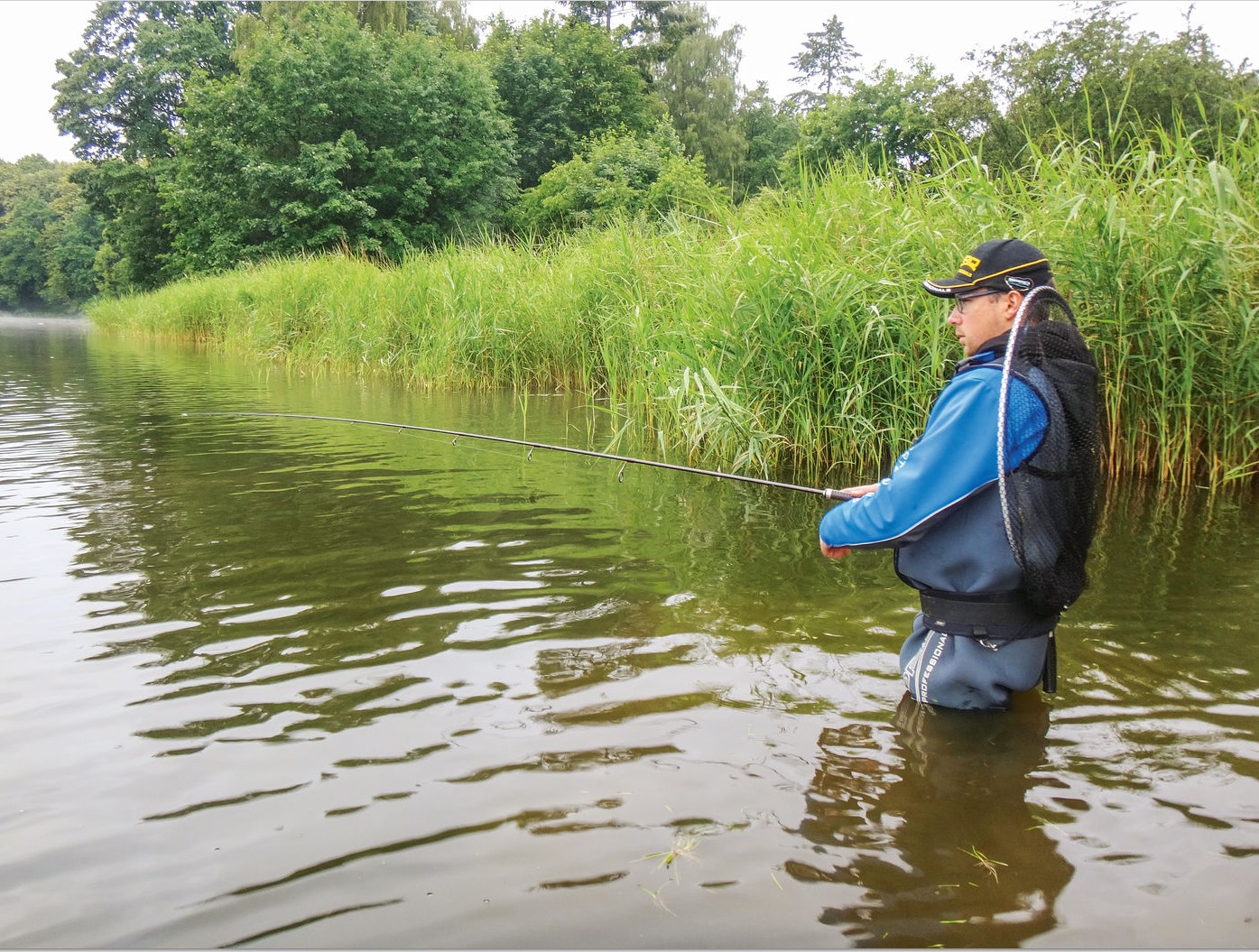 Swimbaits Spinnfischen