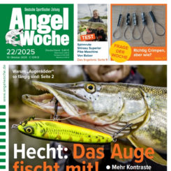 AngelWoche