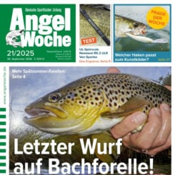 AngelWoche