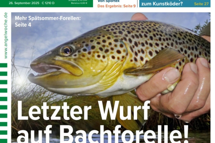Cover der AngelWoche 21/2025: Letzter Wurf auf Bachforelle!