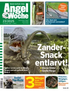 Cover der AngelWoche 23/2025: Zander-Snack entlarvt!