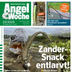 AngelWoche
