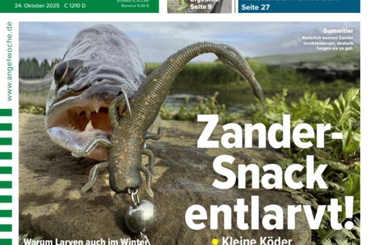 Cover der AngelWoche 23/2025: Zander-Snack entlarvt!