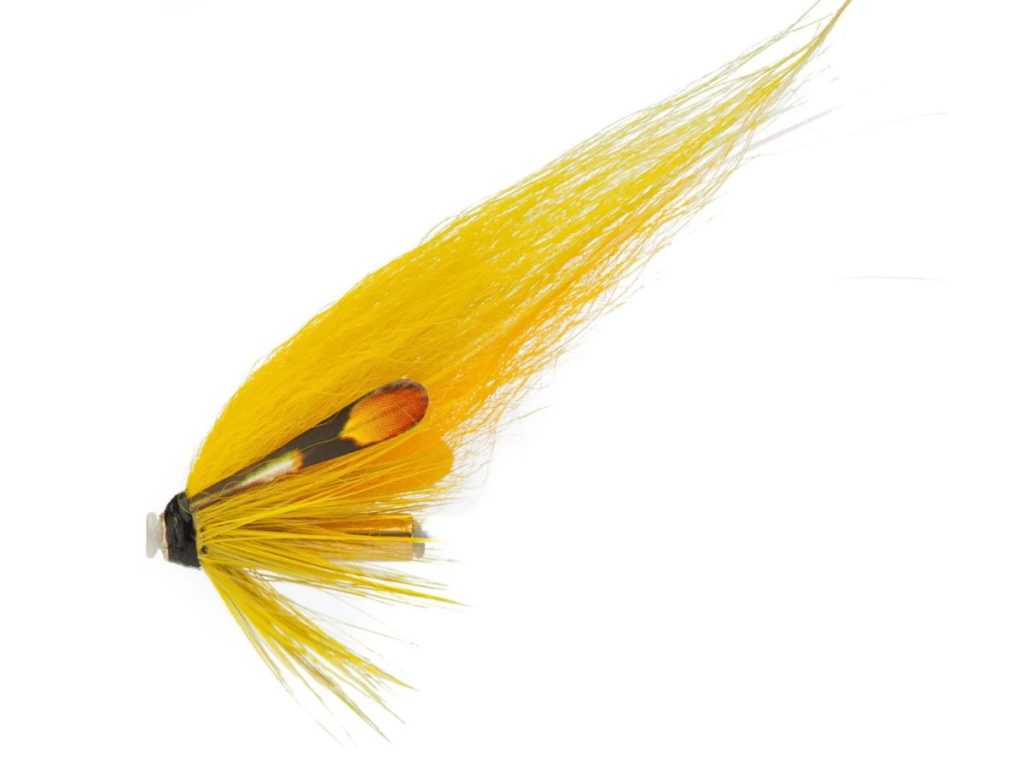  Bananafly Yellow/Gold M US Tube