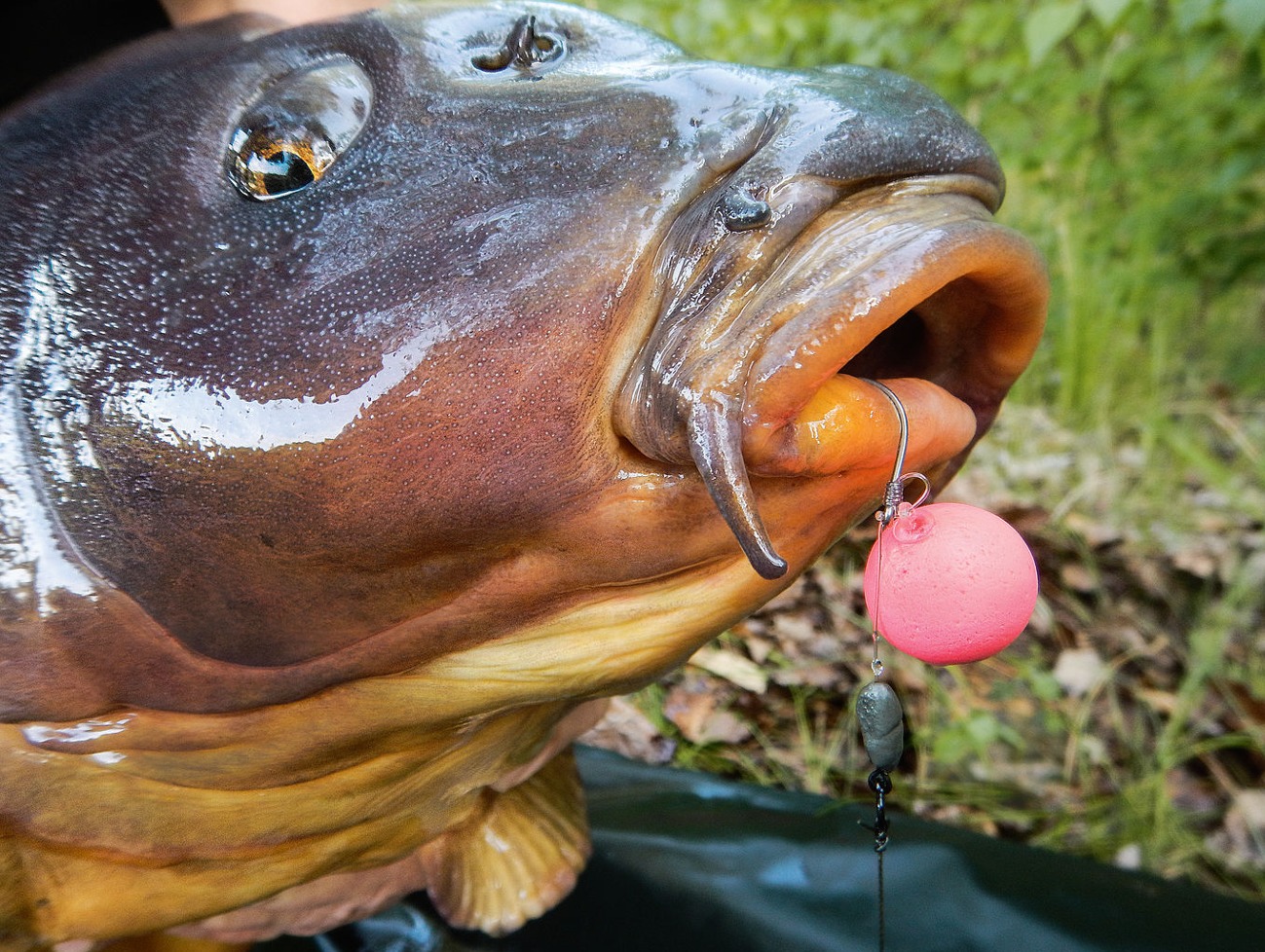Hinged Stiff