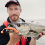 Gummifisch Norwegen Pollack