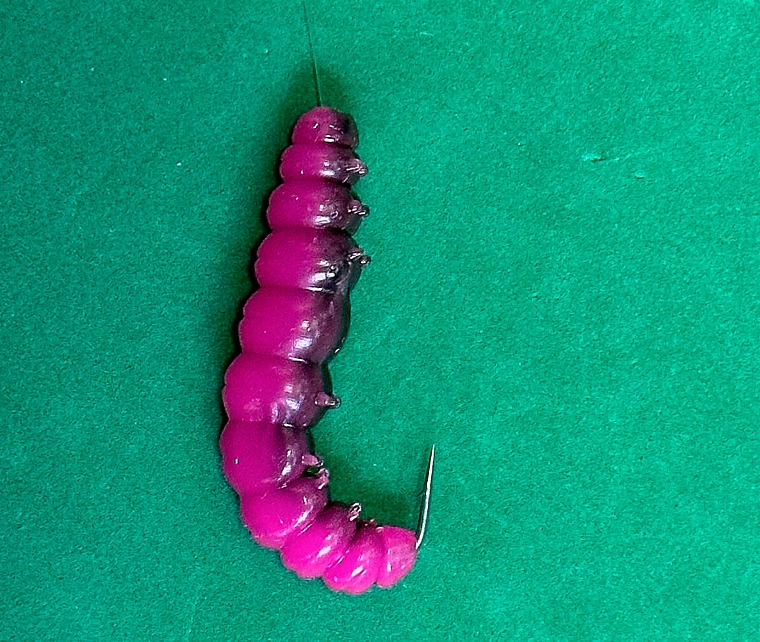 Gummilarve