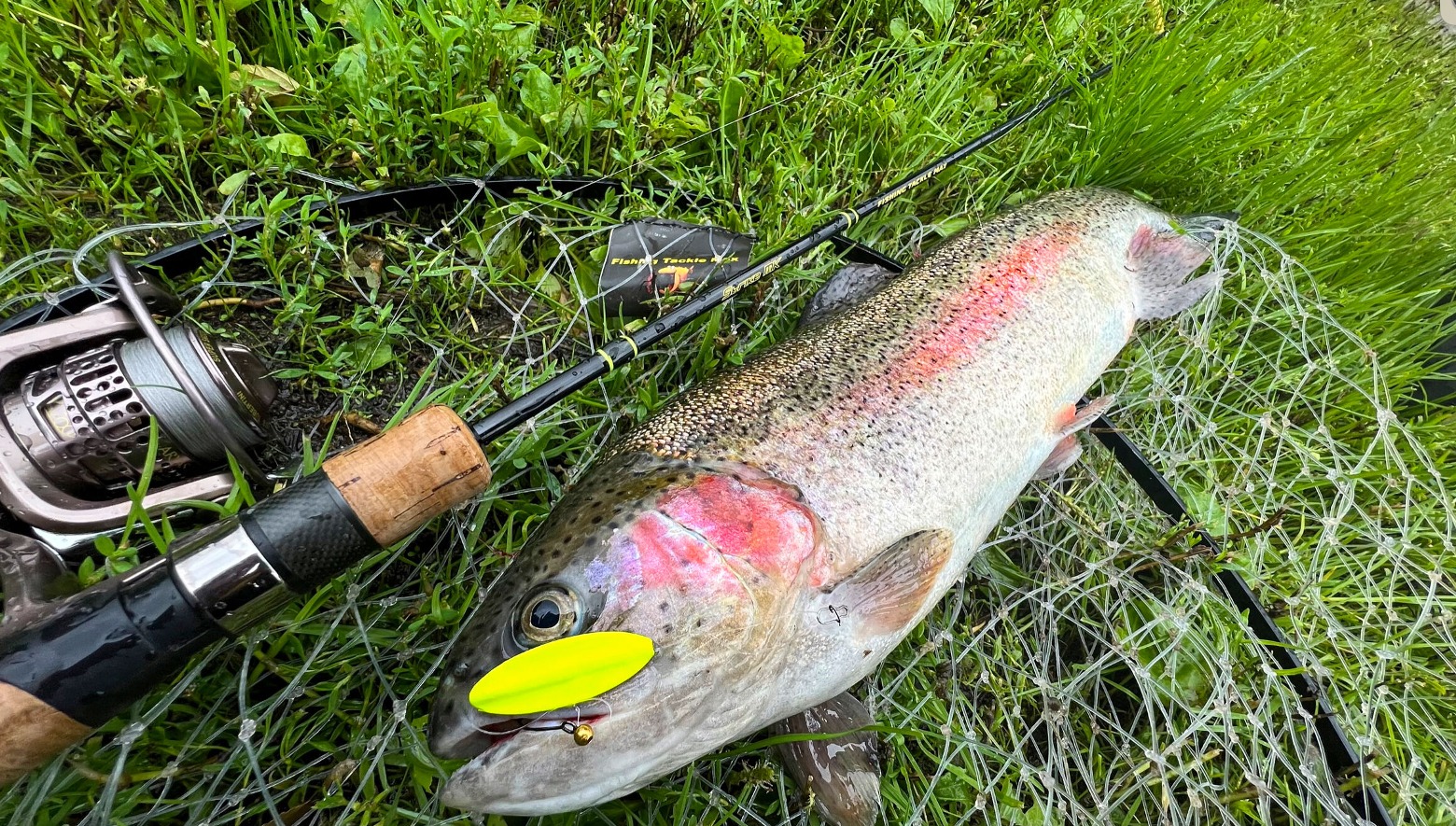 Forellenangeln herbst